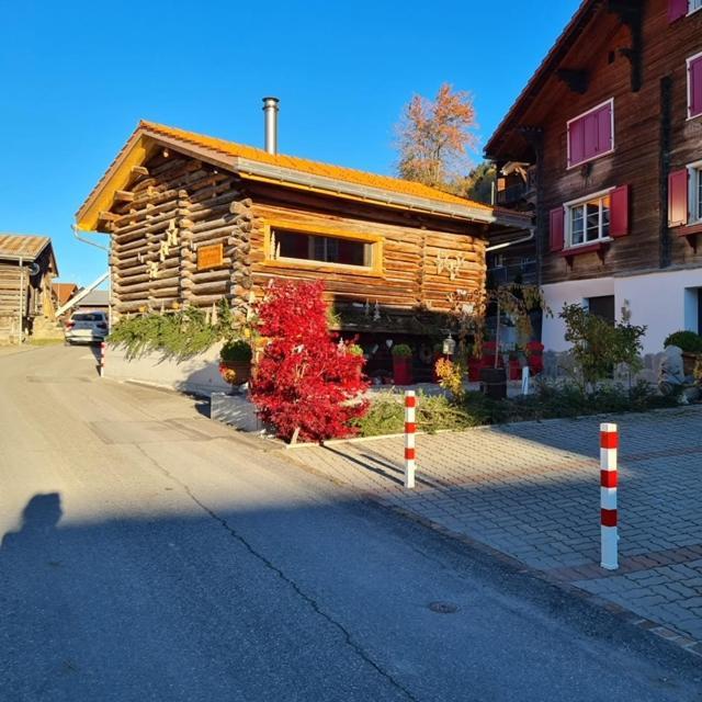 Chesa Prema Bed & Breakfast - Restaurant Disentis Exterior photo